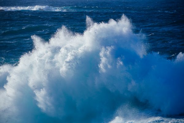 Turbulence is opportunity - An outlook for 2026